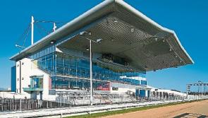 Eight dog racing to be explored in Limerick Greyhound Stadium