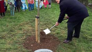 Mayor of Limerick goes back to his roots for National Tree Week