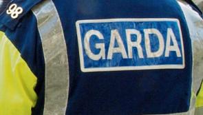 Teenager arrested following fatal stabbing in 'altercation' at Clare night club