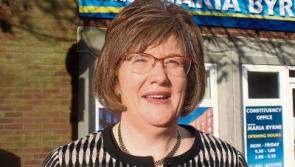 Eighth amendment repeal 'not an issue on doorsteps', says Limerick senator