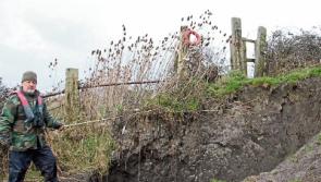 Pedestrians warned of sinkhole along popular Limerick walkway