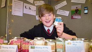 Limerick students to compete in Enterprise Programme national finals