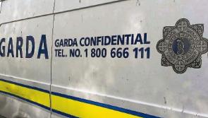 Crime figures&nbsp;up&nbsp;across Limerick as&nbsp;CSO publishes statistics&nbsp;&lsquo;under reservation&rsquo;