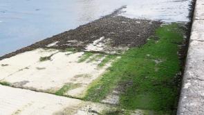 West Limerick pier to be cleaned after fears of ‘Buncrana waiting to happen’