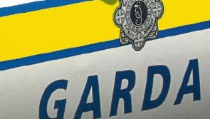 Drugs worth €2.5m seized from truck destined for Limerick