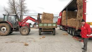 Limerick fodder crisis meeting to take place to discuss shortage