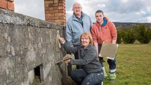 Solid foundations: County Limerick woman plastering a trail in the building trade