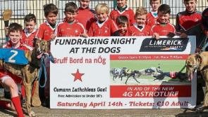 Limerick GAA club goes to the dogs for all-weather pitch