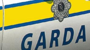 Limerick gardaí arrest and charge man in connection with 9 burglaries