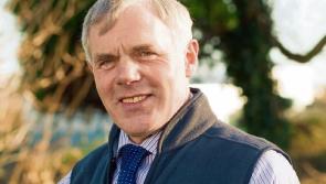 Fodder crisis: Farm bodies call for ‘dedicated budget’ and milk price support for Limerick farmers