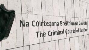 Limerick man jailed over&nbsp;&lsquo;savage and prolonged' attack seeks to overturn conviction