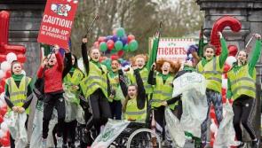 Fourth outing for annual Team Limerick Clean-up praised for its ‘community pride’