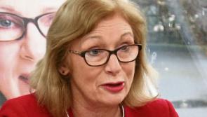 Limerick TD says removal of posters ‘smacks of people who are fascists’