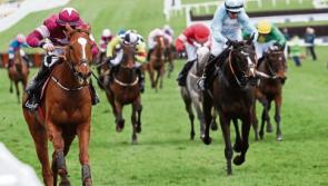 Punchestown Betting: Star novice Samcro can step up to Champion Hurdle tilt