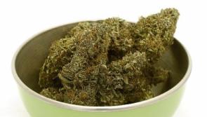 Green’s high ideals as Limerick cafe for cannabis users is floated