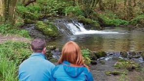 Forget Tinder, find love at Ballyhoura singles walk in County Limerick