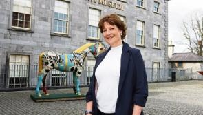 New Hunt Museum director to bring digital flair to Limerick's 'treasure trove'