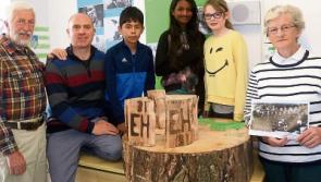 Discovery of 90-year old carvings at Limerick school leads to local history project