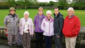 Limerick council move could lead to building ban on patch of green space