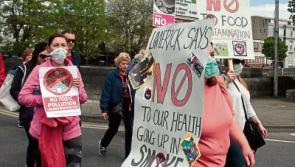 Limerick councillors approve 'super-objection' to controversial Irish Cement plan