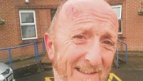 Limerick councillor charged with public order offences after night in custody