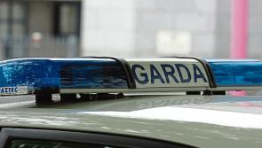 Ukrainian's travel wallet stolen in Limerick has been returned