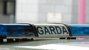 Garda fleet in Limerick surpasses 100 vehicles for first time - TD