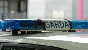 Limerick gardai investigate as car bursts into flames after collision