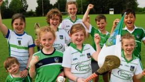 Limerick hurler Seamus Flanagan inspires a new generation as Déise clash looms