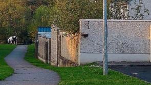 Calls to turn carpark in County Limerick town into residential area