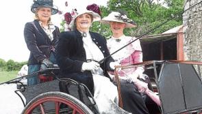 Summer festival set to Bloom in County Limerick town