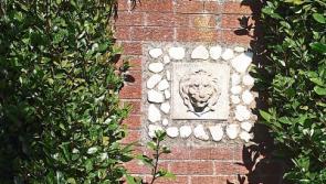 Gardening: Hostas and water features