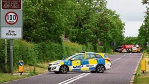 English couple who died in horror County Limerick crash named