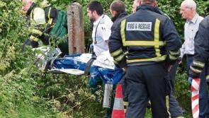 Elderly man dies after 'falling into fire' on outskirts of Limerick