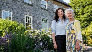 Hannah and Catherine's charity open day at their Limerick farm