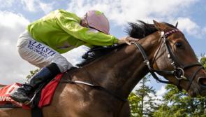 Winners flow for Limerick racing connections