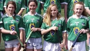 Twenty two young Limerick GAA stars to showcase talent on Munster final day