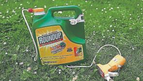 Limerick resident seeks glyphosate ban