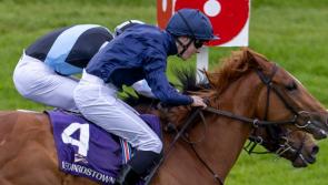Talented young Abbeyfeale jockey visits winners' enclosure at Leopardstown