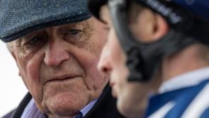 Limerick jockeys enjoy hugely successful spell on the racecourse