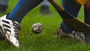 Four Limerick schools to compete in 2023/2024 Dr Harty Cup hurling competition