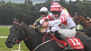 Athea trainer's win among host of Limerick successes on the racecourse