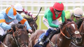 Winners aplenty on the track for Limerick racing enthusiasts