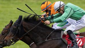 Limerick racing connections visit winners' enclosure
