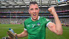 Eight Limerick players named on RTE Sunday Game's Hurling Team of Year