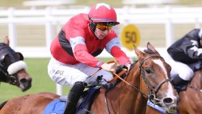 Kilmallock jockey scores thrilling first win on the racecourse