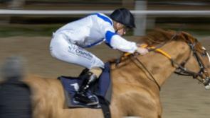 Limerick jockey Billy Lee in winners' enclosure at Dundalk