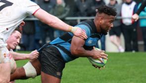 Just two Limerick wins on dramatic day of All-Ireland League action
