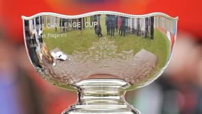 Limerick sides face crunch Munster Schools Senior Cup ties as St Munchin's go 'second-chance' route