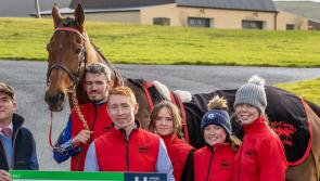 Limerick training yard scoops best-turned out league award